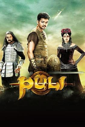 Puli