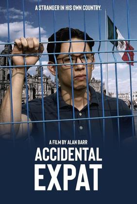 Accidental Expat